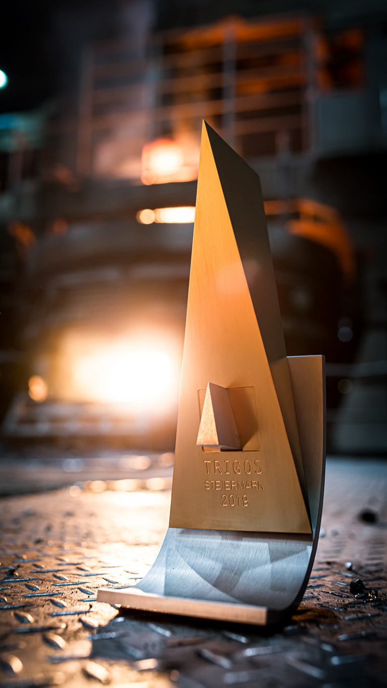Wir gewinnen den begehrten Nachhaltigkeitspreis TRIGOS Steiermark 2019